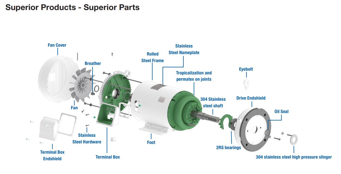 Weg washdown Motors Weg shark Motors