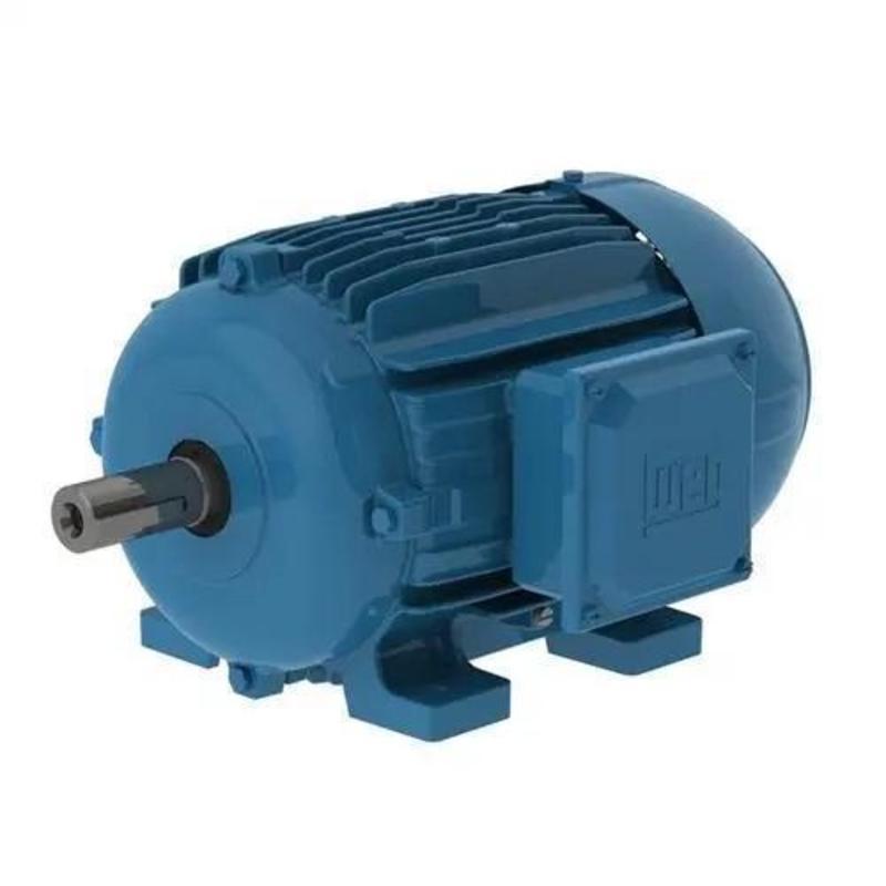 Three-Phase General Purpose Motors WEG W22