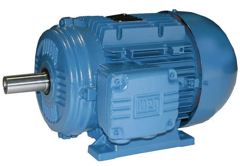 Three-Phase General Purpose Motors WEG W22