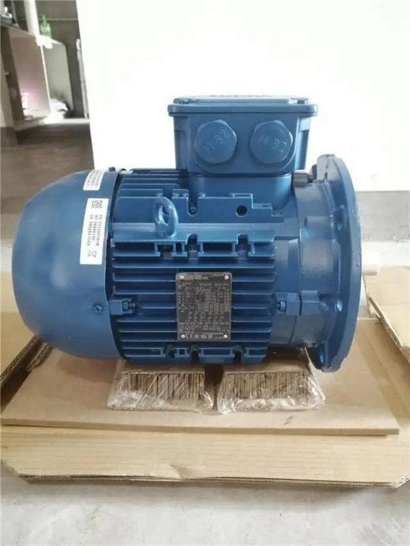 Three-Phase General Purpose Motors WEG W22