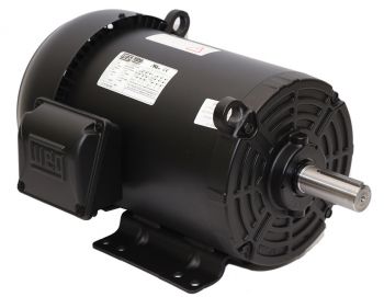 WEG brand Three Phase General Purpose Motors 03018OT3H286TS 22 KW 286TS